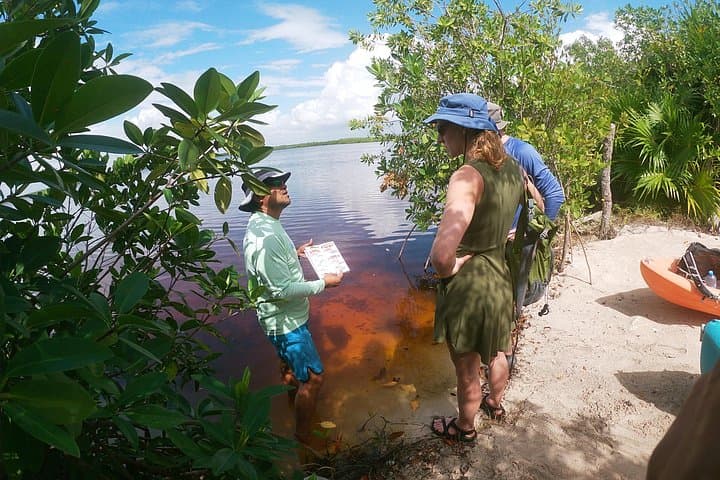 Kayaking the Costa Maya Mangroves: Local-Run Ecotour with Fishermen Lunch photo 2