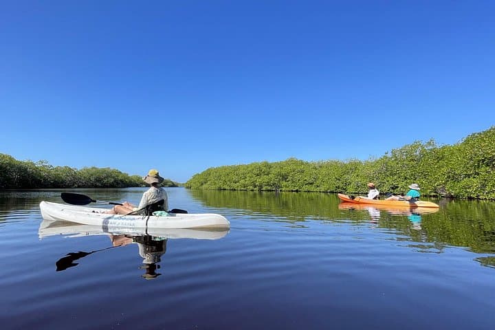 Kayaking the Costa Maya Mangroves: Local-Run Ecotour with Fishermen Lunch photo 3