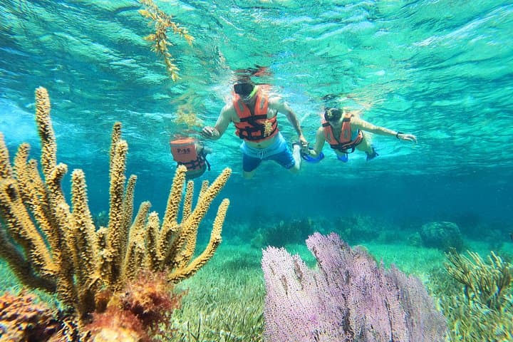 Puerto Morelos Snorkel Adventure and Real Mexican Tacos from Cancún photo 1