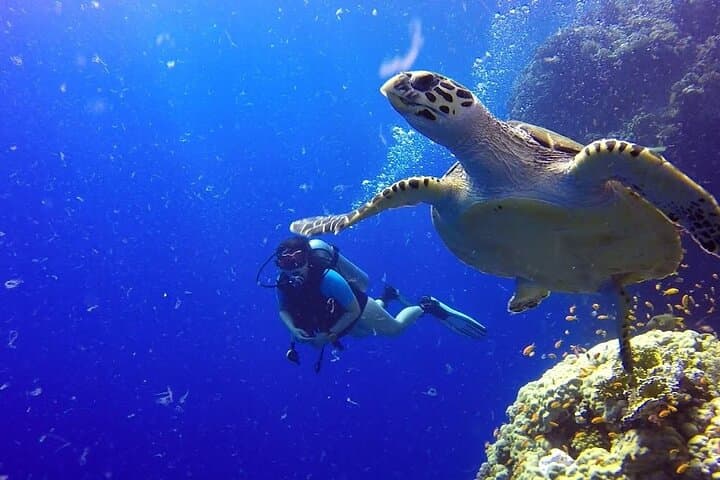 Hurghada Full-Day Boat Trip: Snorkel Giftun, Fish, See Dolphins & Buffet Lunch photo 4