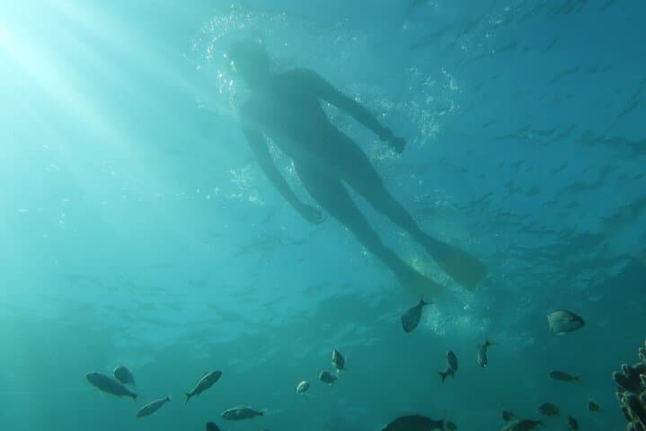 Private Snorkel Training & Guided Atlantic Tours — Fort Lauderdale photo 2