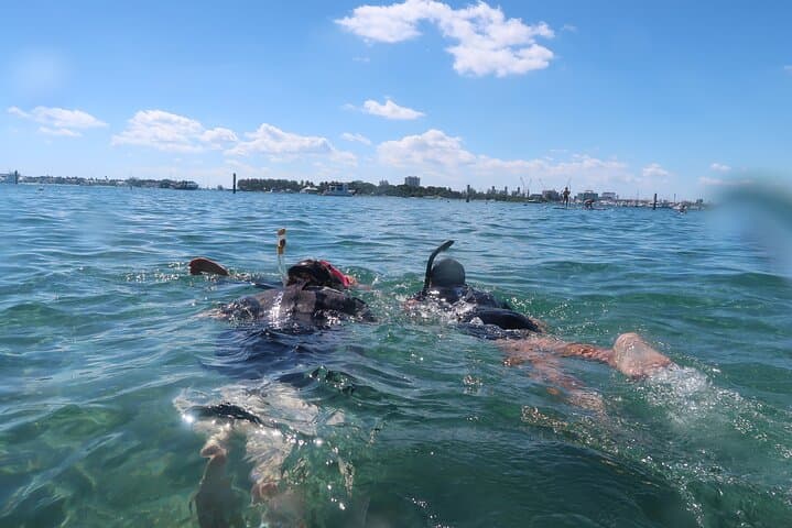 Private Snorkel Training & Guided Atlantic Tours — Fort Lauderdale photo 3