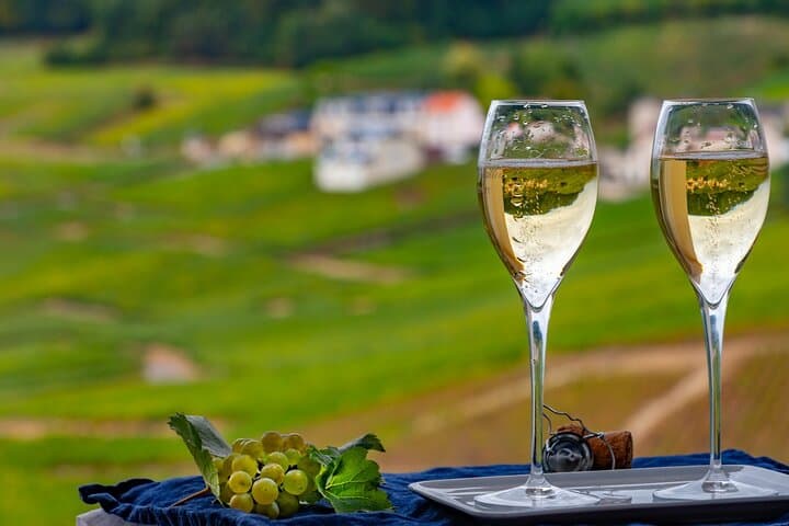 Bairrada Sparkling Wine Tour from Coimbra: Private Full-Day Cellar Visits & Tasting photo 3