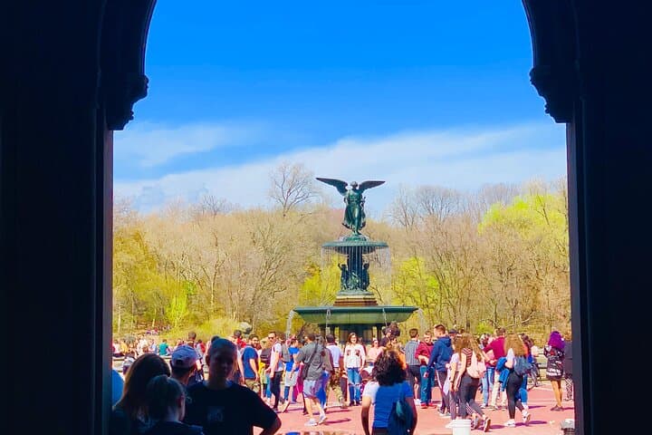Central Park Pedicab Deluxe Tour: 1-Hour Private Guided Ride
