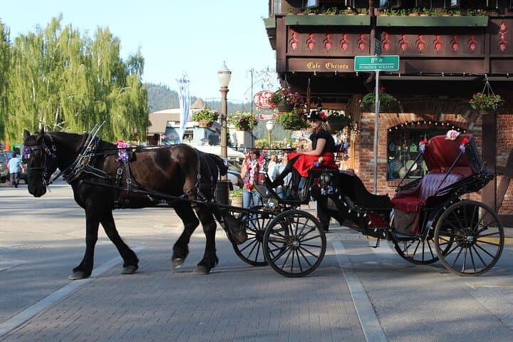 Explore Leavenworth and Cascade Mountains: A Full-Day Winter Adventure from Seattle