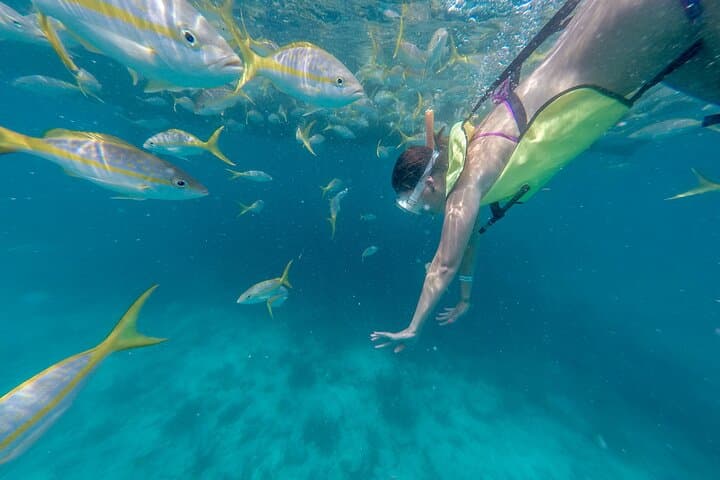 Buck Island Turtle Snorkel Sail from Frenchman's Reef — St. Thomas Day Cruise photo 3