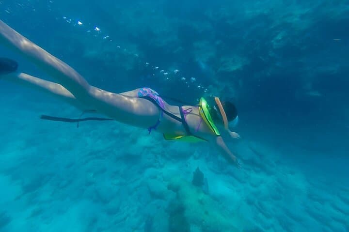 Buck Island Turtle Snorkel Sail from Frenchman's Reef — St. Thomas Day Cruise photo 4