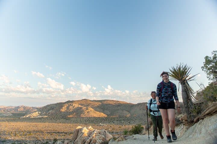 Joshua Tree Sunset and Stargazing Private Tour: An Evening Under Desert Stars photo 4