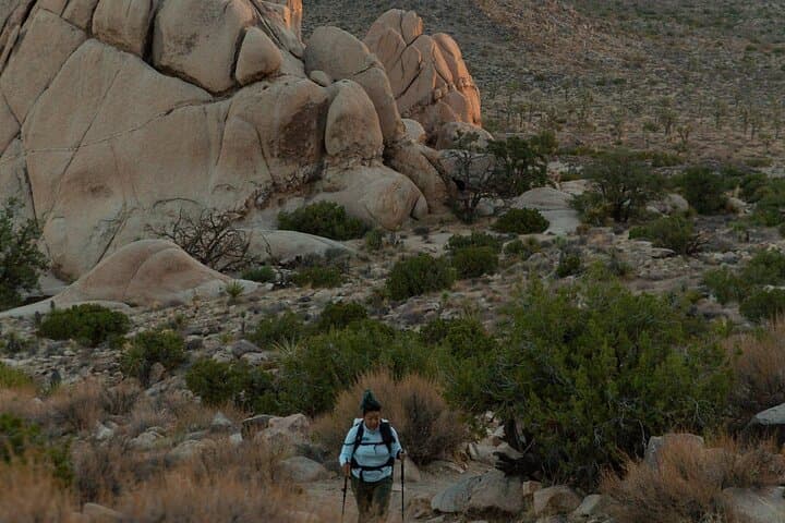 Joshua Tree Sunset and Stargazing Private Tour: An Evening Under Desert Stars photo 5