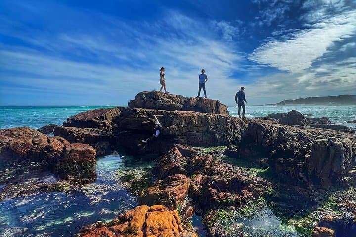 Cape Point & Cape of Good Hope Private Day Tour — Penguins, Seal Cruise & Coastal Views photo 2