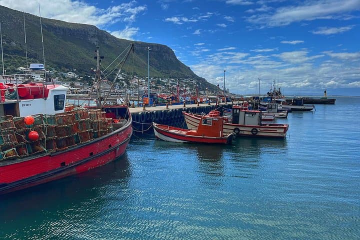 Cape Point & Cape of Good Hope Private Day Tour — Penguins, Seal Cruise & Coastal Views photo 4