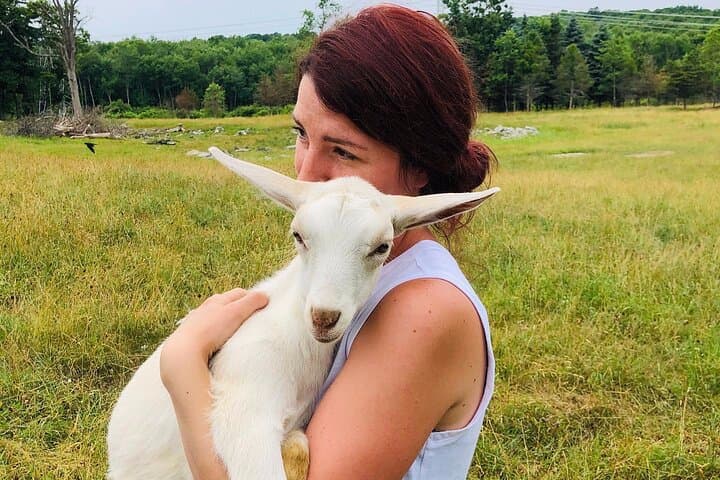 Clover Brooke Farm Llama, Alpaca & Goat Tour in the Catskills photo 2