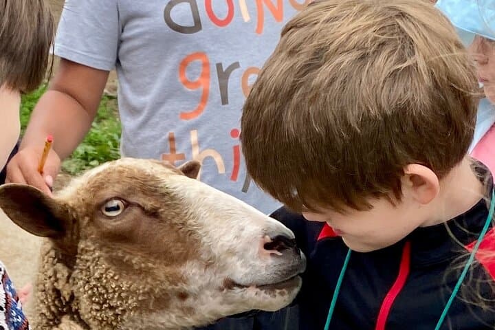 Clover Brooke Farm Llama, Alpaca & Goat Tour in the Catskills photo 4