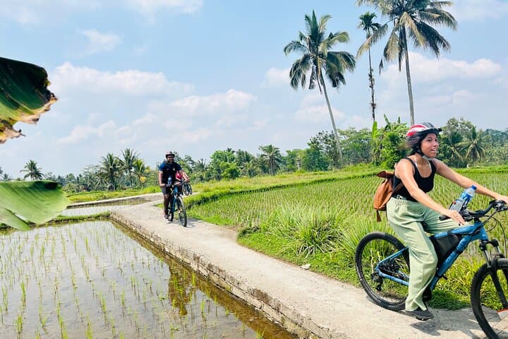 Ubud eBike Tour to Tegallalang Rice Terraces and Subak Irrigation photo 2