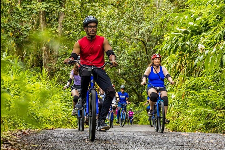 Blue Mountain Full-Day Downhill Bike Tour: Coffee, Waterfalls & Island Views photo 3