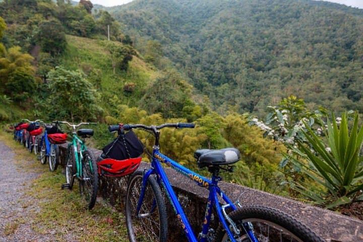 Blue Mountain Full-Day Downhill Bike Tour: Coffee, Waterfalls & Island Views photo 2