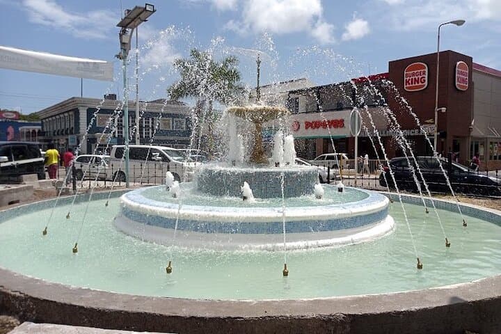 Private Montego Bay City Highlights & DBoss Bird Sanctuary Tour photo 2