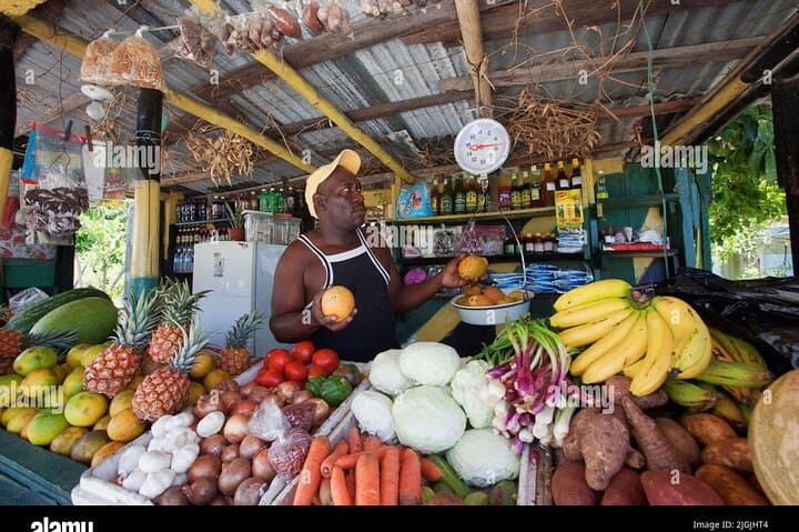 Private Montego Bay City Highlights & DBoss Bird Sanctuary Tour photo 6