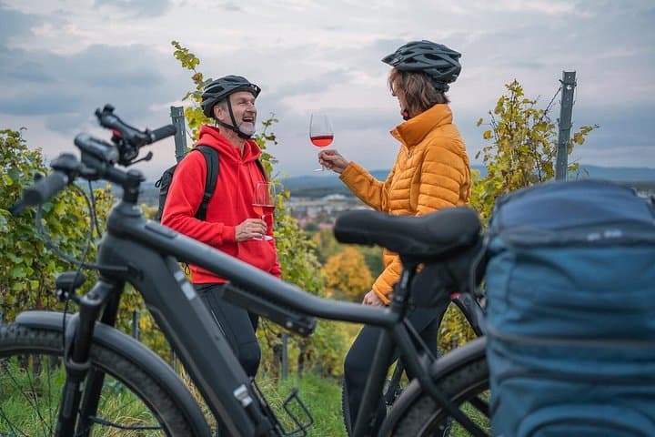 E‑Bike Wine Route: Half‑Day Stellenbosch Winelands Tour from Cape Town photo 4