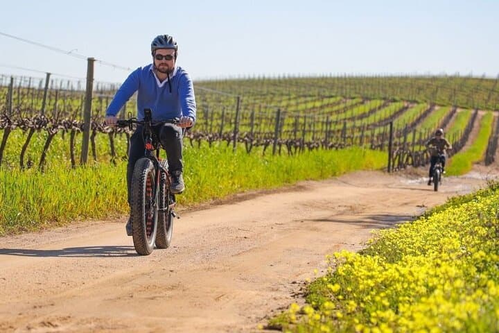 E‑Bike Wine Route: Half‑Day Stellenbosch Winelands Tour from Cape Town photo 1