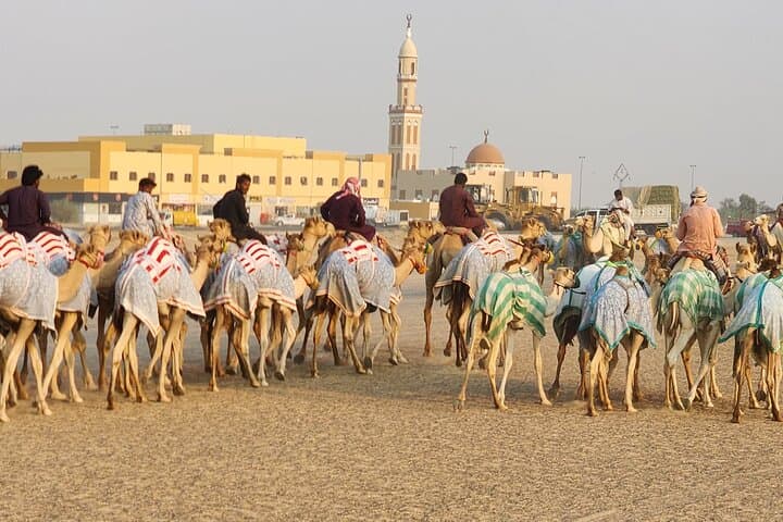 90-Minute Cultural Camel Ride in Dubai Desert: Farm Visit, Riding & Tea photo 4