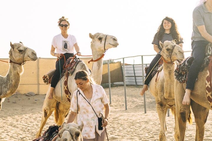 90-Minute Cultural Camel Ride in Dubai Desert: Farm Visit, Riding & Tea photo 1