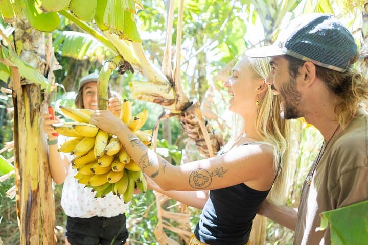 Taste of Hawaii: La Kahea Community Farm Tour on Maui