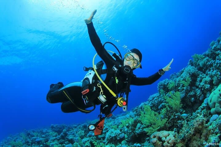Snorkeling Excursion to Orange Bay (Paradise Island) from Hurghada photo 2