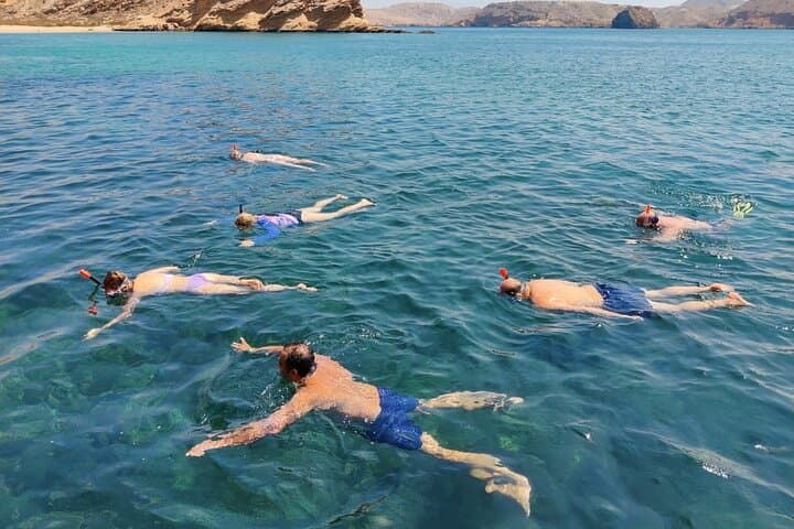 Muscat Dolphin Watching and Snorkeling — 3-Hour Marine Adventure photo 6