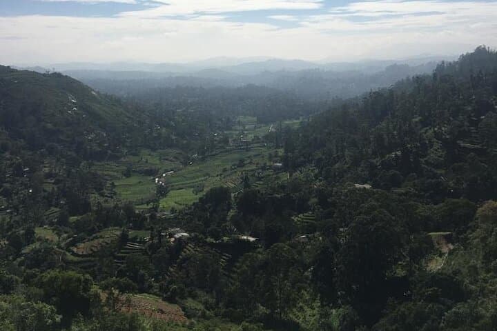 Bomburu Ella to Single Tree: Half‑Day Hike and Cultural Sights in Nuwara Eliya photo 2