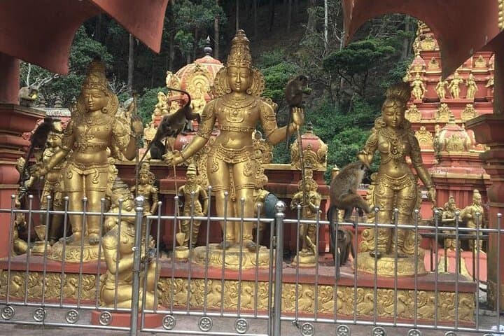 Bomburu Ella to Single Tree: Half‑Day Hike and Cultural Sights in Nuwara Eliya photo 3