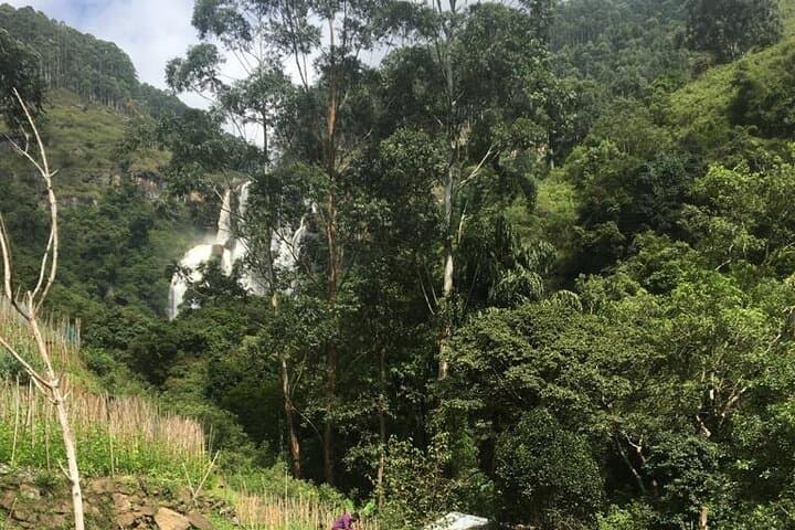 Bomburu Ella to Single Tree: Half‑Day Hike and Cultural Sights in Nuwara Eliya photo 5