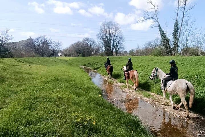 Ride Valgraziosa: One‑Hour Horseback Through Pisa’s Valley photo 2