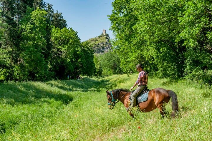 Ride Valgraziosa: One‑Hour Horseback Through Pisa’s Valley photo 4
