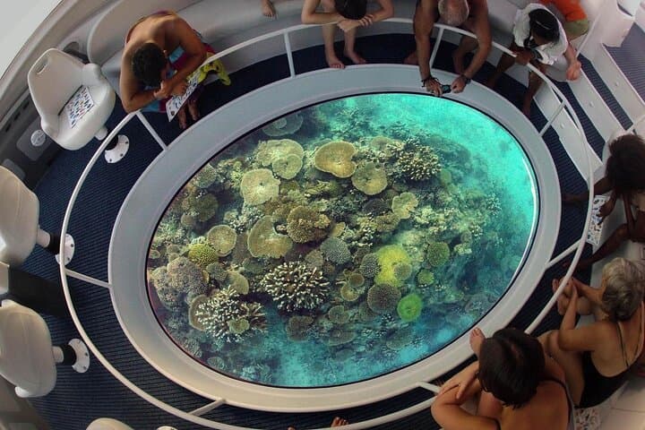 Hurghada Glass-Bottom Speed Boat: Fast Reef Views & Snorkel Stop at Magawish photo 3