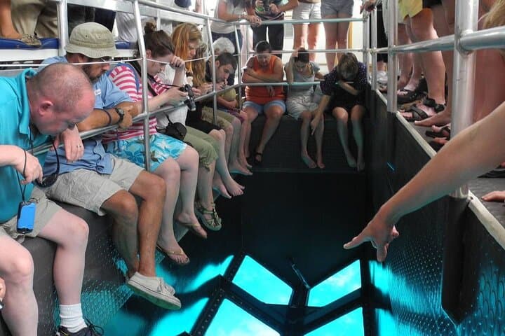 Hurghada Glass-Bottom Speed Boat: Fast Reef Views & Snorkel Stop at Magawish photo 4