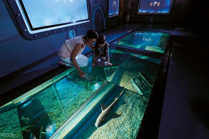 Hurghada Glass-Bottom Speed Boat: Fast Reef Views & Snorkel Stop at Magawish