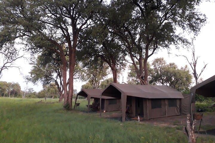 8-Day Delta Miracle Safari — Moremi & Khwai Luxury Tented Camp photo 2