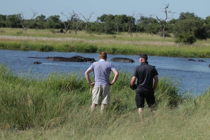 8-Day Delta Miracle Safari — Moremi & Khwai Luxury Tented Camp photo 4