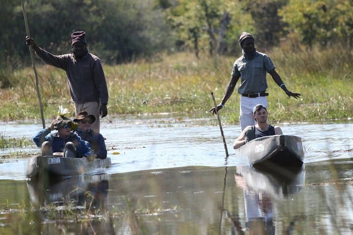 Okavango Delta Northern Explorer — 11-Day Private Safari from Maun photo 4