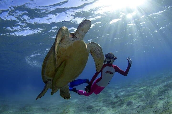 Paradise Island Full-Day Snorkel from Hurghada: Coral Reefs and Beach Time photo 6