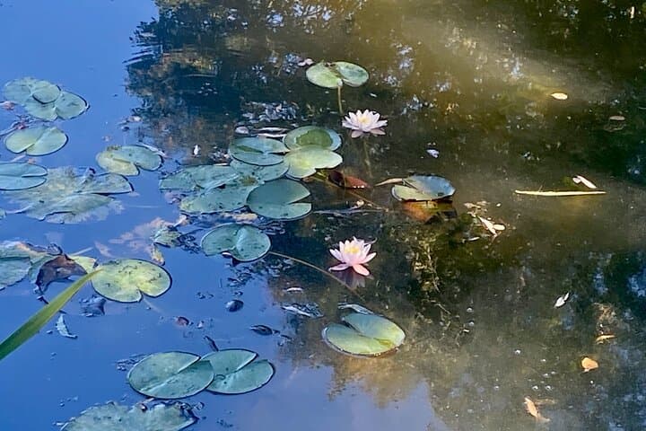 Giverny & Versailles Day Trip from Paris — Monet’s Gardens and the Trianon Experience photo 6