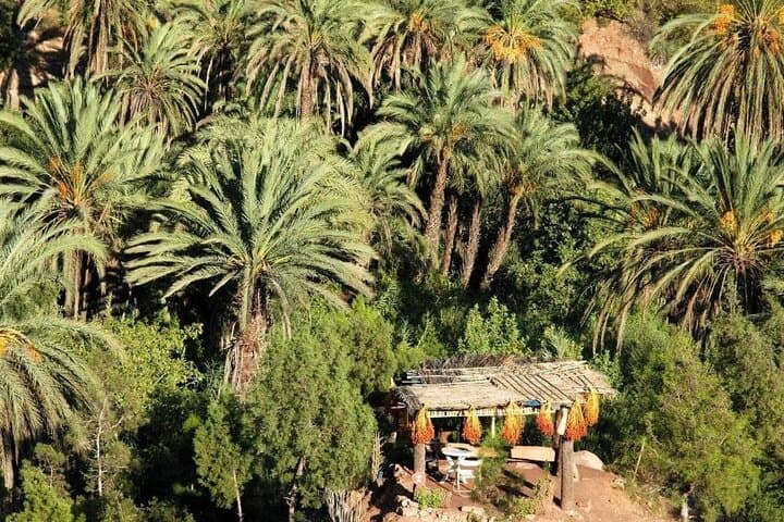 Agadir Paradise Valley Adventure: Berber Breakfast, Mountain Pools & Beach Quad Biking photo 2