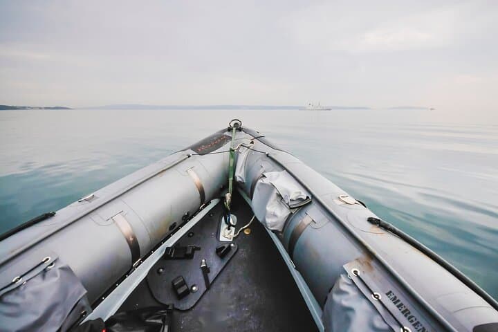 Table Bay Marine Wildlife Cruise & Stellenbosch Winelands Full-Day Tour from Cape Town photo 3