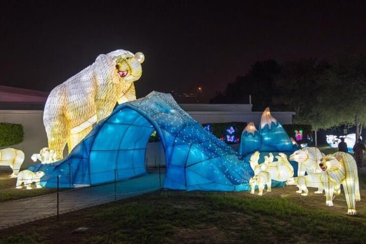 Dubai Frame, Garden Glow & Atlantis Aquaventure Combo — Views, Lights and Water Thrills photo 6