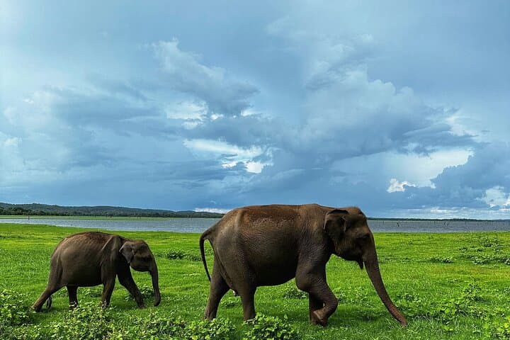 Sri Lanka Personal Tour Driver — Private Flexible Tours & Airport Transfer photo 5