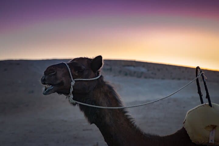 Sunset Camel Ride and Traditional Dinner in Morocco's Agafay Desert photo 2