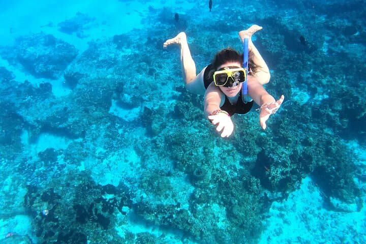 Private Cozumel Snorkel Charter: El Cielo, Turtle Sanctuary & Columbia Reef photo 4