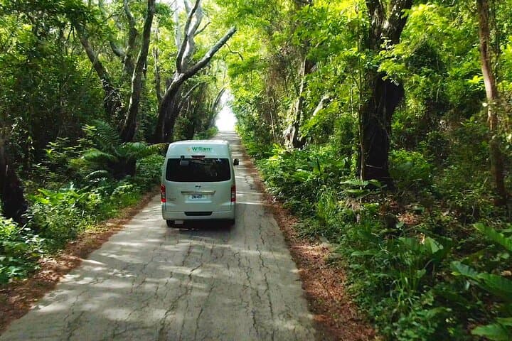 St. Nicholas Abbey & Bajan Faves: 5-Hour Cultural and Coastal Tour from Speightstown photo 2