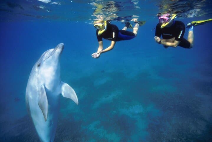 Giftun Island Snorkeling from Hurghada — Full-Day Red Sea Reef Cruise